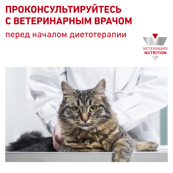 Royal Canin (вет.корма) Для кошек лечение нарушений пищеварения (Gastrointestinal)