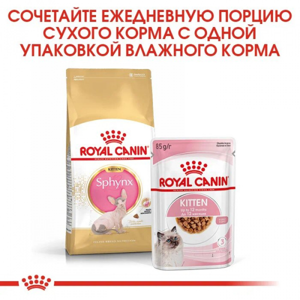 Royal Canin Для котят Сфинкс (Kitten Sphynx)