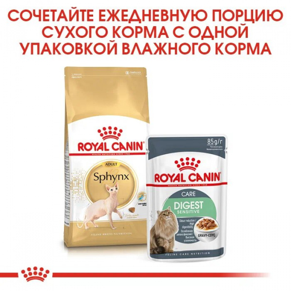 Royal Canin Для кошек Сфинкс (Sphynx)