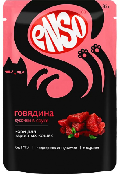 enso_gov