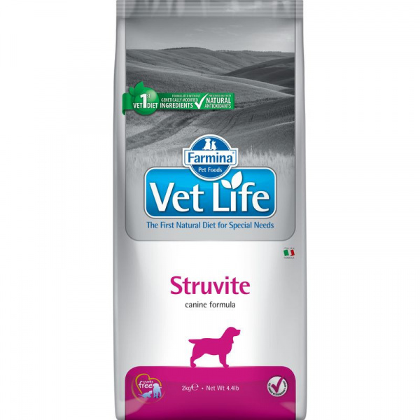 FA_dog_vet_stru