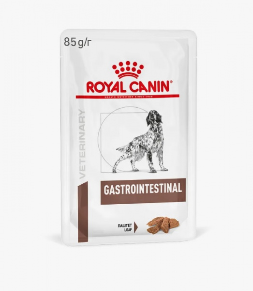 RC_pau_dog_vet_gastr