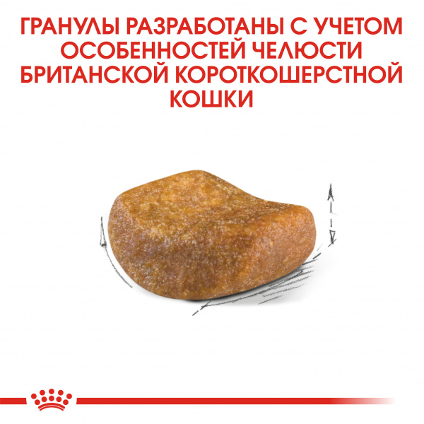 Royal Canin Для кошек Британская (British Shorthair)