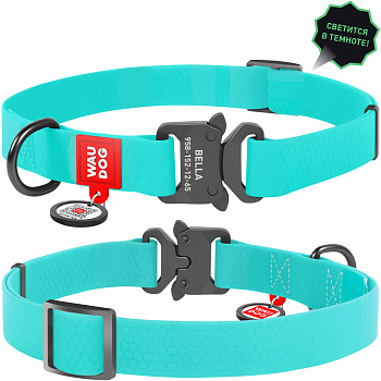 COLLAR Ошейник для собак водостойкий WAUDOG Waterproof c QR-паспортом, светящийся, Ш 15 мм, Дл 23-35