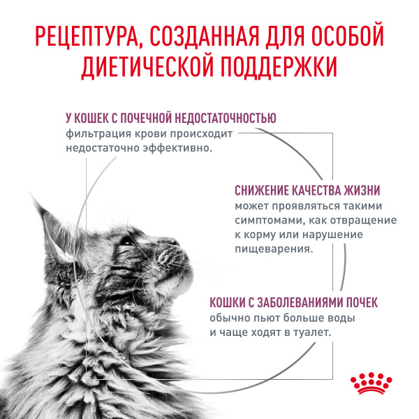 Royal Canin (вет.корма) Для кошек лечение заболеваний почек (Renal)