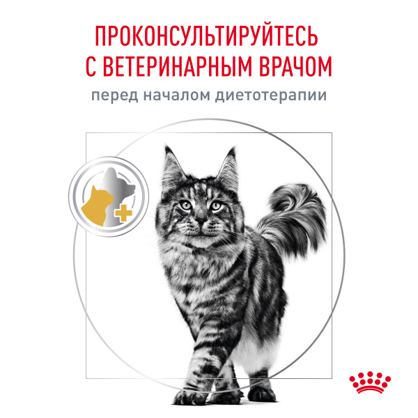 Royal Canin (вет.корма) Для кошек лечение МКБ при избыточном весе (Urinary S/O Moderate calorie)