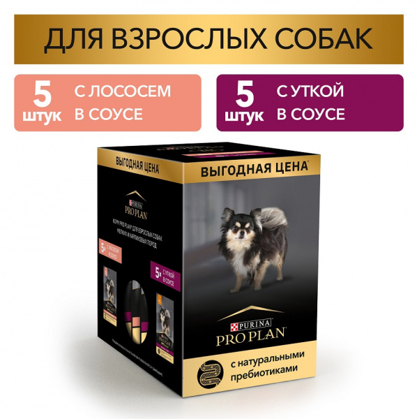 propl_pau_mobilepack_dog_2
