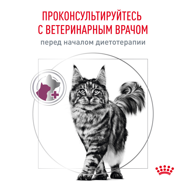 Royal Canin (вет.корма) Для кошек лечение заболеваний почек (Renal)