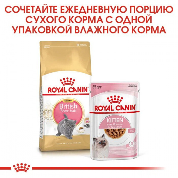 Royal Canin Для котят Британская (Kitten British Shorthair)