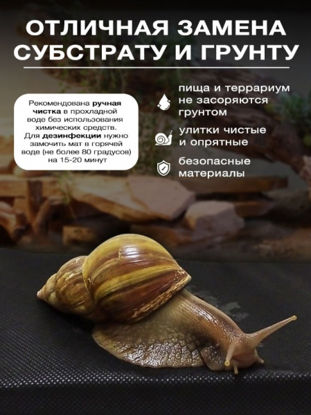Безымянный