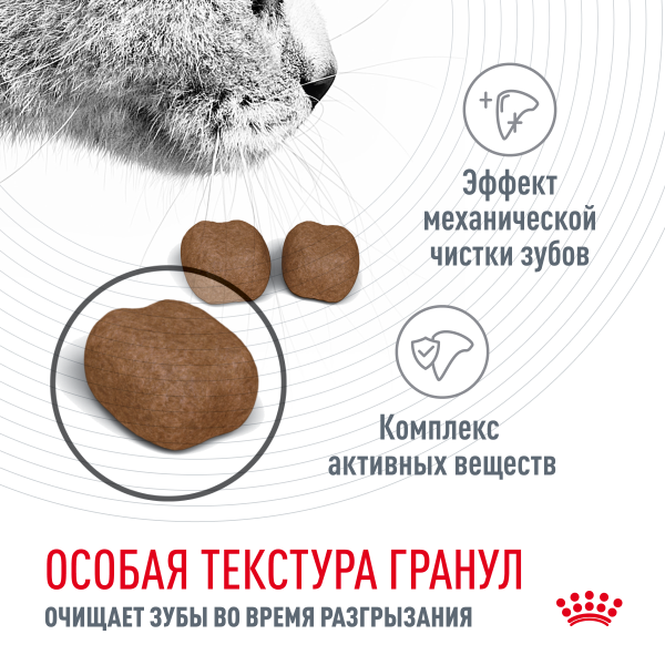 Royal Canin Для кошек "Уход за полостью рта" (Dental Care)
