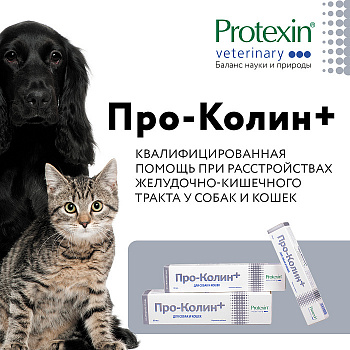 Protexin пробиотическая кормовая добавка для нормализации микрофлоры Проколин 30 мл