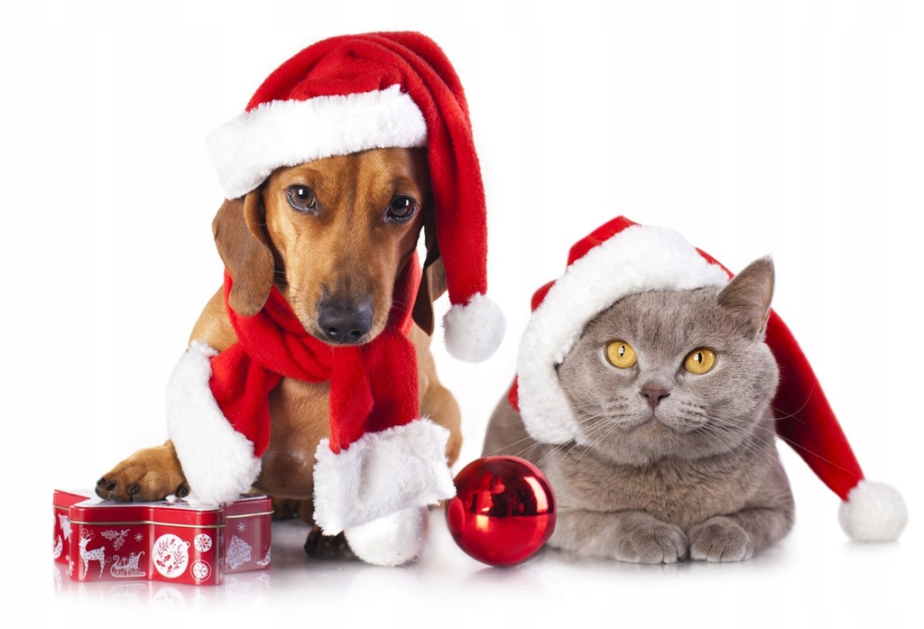 С Новым Годом!!! С Новым Годом!!!