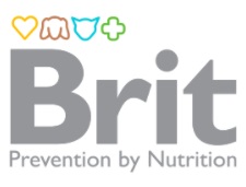 Brit Brit