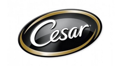 Cesar Cesar